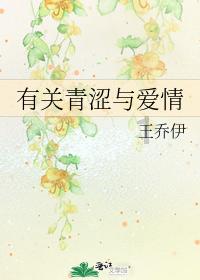 机械师检修保安全 护航春运回家路